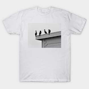 Monterey Quartet T-Shirt